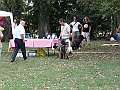 img 167